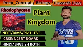 rhodophyceae algae thallophyta plant kingdom biology chapter3 