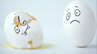 Funny and Clever Eggs Photography
