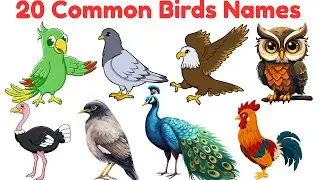 20 Common Birds Vocabulary Names in English with Pictures | Learn Bird Names for Kids