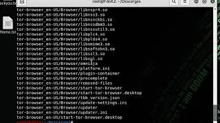 Instalar TOR en Kali Linux 2019 | Entrar a la H1DD3N W1K1