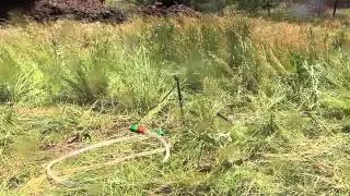 разбрызгиватель на колышке оранжевый ротор