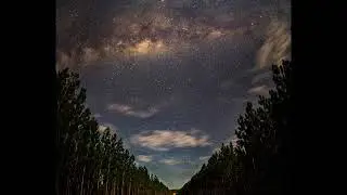 Morgan Powers -  Black Coffee