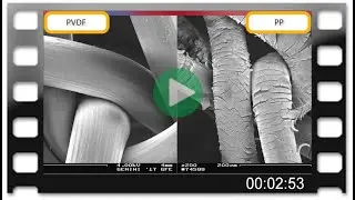 Mesh Degradation - Underlying Mechanisms and Implications