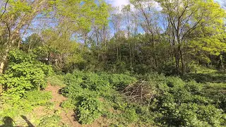 YI 4K Action Camera запись звука