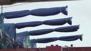 Estonia - Six K9 Thunder self-propelled howitzers delivered from South Korea