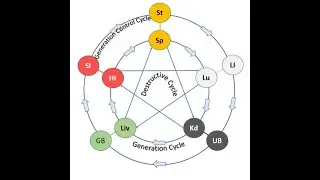 Indepth Qi and Acupuncture