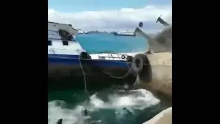 чп произошло судно перевернулось