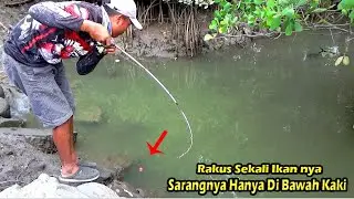 Hampir Tidak Percaya !!! Mancing Di Bawah Batu Paras Ternyata Banyak Ikan nya