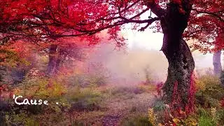 I Don't Want to Miss a Thing - Aerosmith LYRICS #lyrics #chill #classic #aerosmith