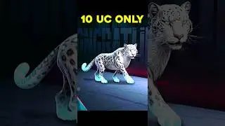 Mythic Leopard Buddy In 10 UC ❄️ | Holla Buddy Crate Opening