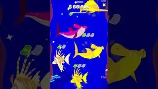 All fishes in tiny fishing :3 
