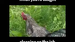 When you sleeping on your job
