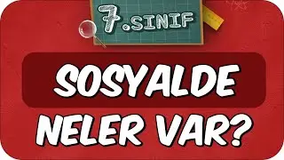 7. Sınıf Sosyalde Neler Var? Sosyal Dersine Nasıl Çalışır❓