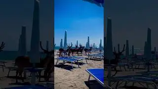 Daini al mare tra gli ombrelloni a Lido delle Nazioni 🌊🦌🏖️