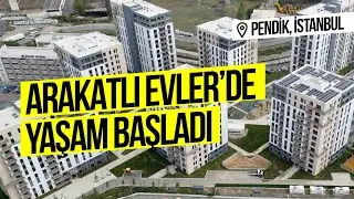 Pendik Arkatlı Evler’de yaşam başladı.