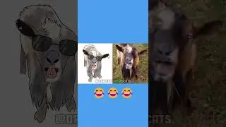 😂Funniest Cats and Dogs 2023 - Drawing Memes pt 3🤣Drawing Meme Cats | Cat Memes