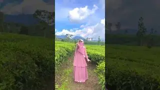ketika ukhti cadar main di kebun teh 