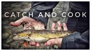 Fishing for wild brown trout and cooking them on the camp fire / Wild camping