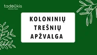 Koloninių trešnių apžvalga. Patarimai, kaip išsirinkti veislę, genėti ir priežiūra žiemą.