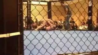 MMA Fight Denis alickovic