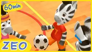 ZEO und Ballspiele | 1-Stunden-Zusammenstellung | ZEO auf Deutsch 🦓 | Zeichentrickfilme