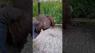 Одним сигналом 1000руб