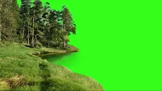 Green Screen forest effect