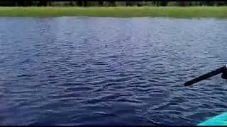 Прикол.