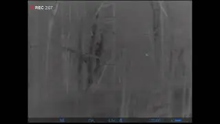 Жинихам не до еды.