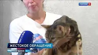 с сайта www.rtr.spb.ru