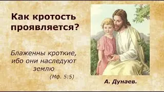 10 08.2023. А. Дунаев. Тема: Как кротость проявляется?