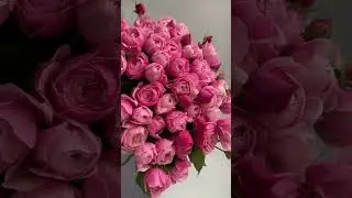 Garden roses Садовые розы #shorts