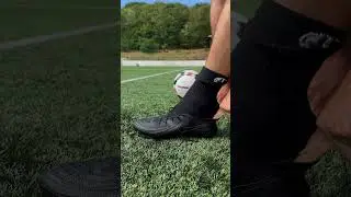 white or black socks ?