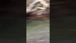 Рыба спряталась от рыбаков)))