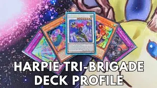 Competitive Harpie Tri-Brigade deck profile June 2024 TCG Yugioh