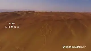 ICA PARACAS ESP ALTA CAPSULA