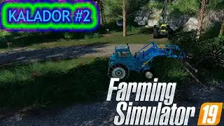 Farming Simulator 19. Подготовка территории, первый раз вожу бревна на тракторе. KALADOR #2
