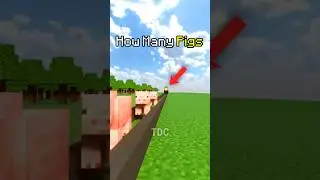How Many Pigs To Stop The Train?
