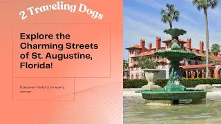 Walking Tour Of Historic St. Augustine, Florida With 2 Traveling Dogs