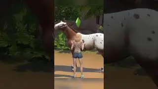 Horses CRY when sim dies!?  | #sims4 #tutorial