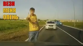 ВОДИТЕЛИ и ОЛЕНЬ. СМОТРИТЕ ДО КОНЦА! 