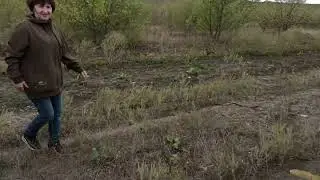 8.09.Яблоки в Гостагаевской, море в Анапе. 8.09.