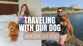 FIRST TIME TRAVELING WITH OUR DOG, PET-FRIENDLY HOTEL IN RHODE ISLAND, 1 YEAR WEDDING ANNIVERSARY