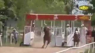Смертельные падения на скачках