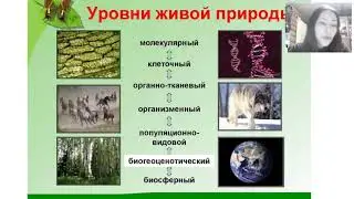 Разбор КИМа ЕГЭ 2019 Биология