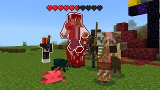 We made Damage spawn RANDOM Mobs in Minecraft