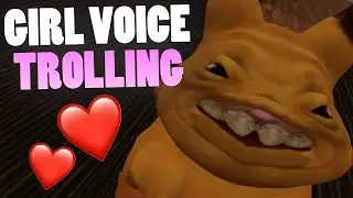 IM A PROFESSIONAL TRAP | VRChat Funny Girl Voice Trolling