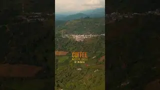 Telenovelas en inglés | Café con Aroma de Mujet