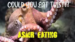 This is disgusting!! | ASMR EATING | DUBZ REACTION