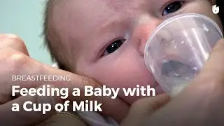 Feeding a baby with a cup of milk | Breastfeeding